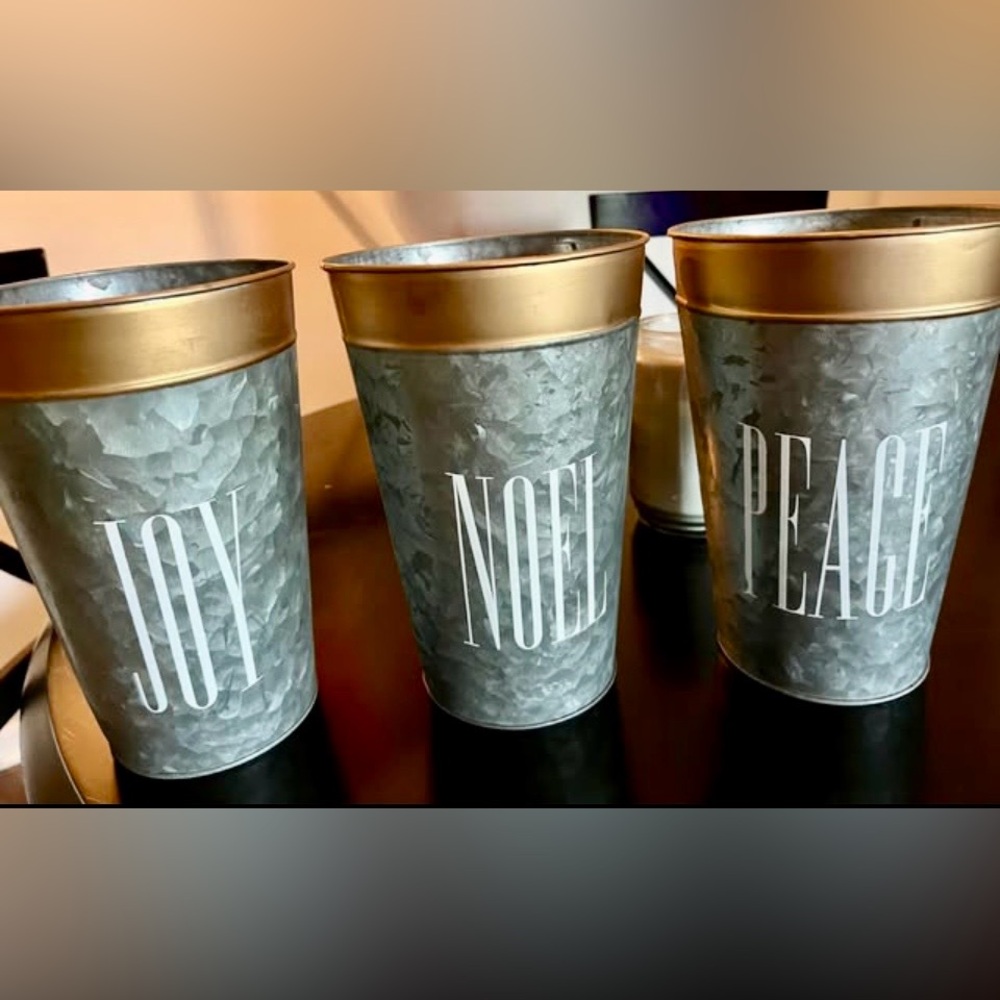 Galvanized Metal Planters/ Containers